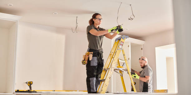 Best Generator Installation Services  in Nebo, NC